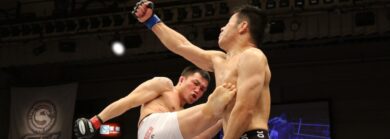 UFC International Fight Week Sponsored by HiDow